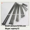 good quality iron nail at very low price